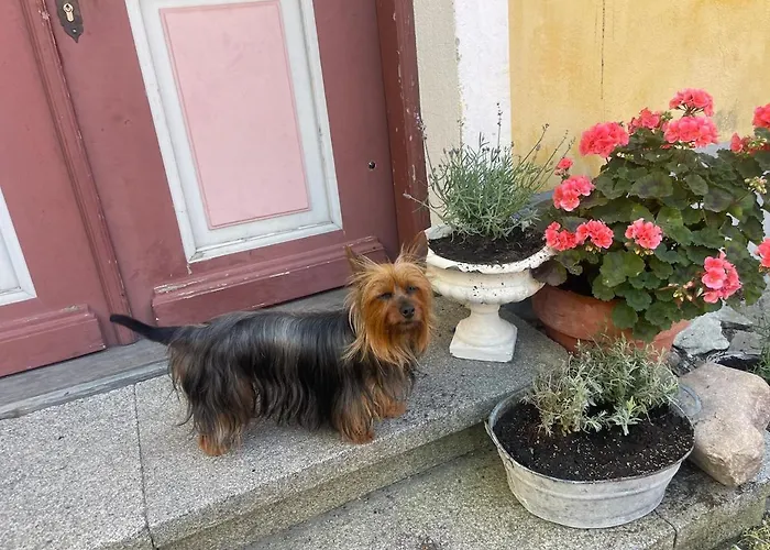 Apartamento Bishop's